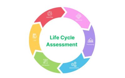 New BREEAM Services: LCC & LCA Reporting & Analysis